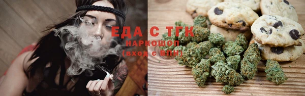 стаф Вязьма