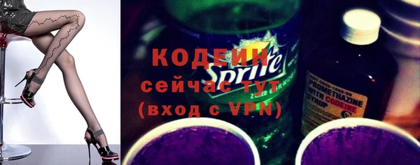 стаф Вязьма