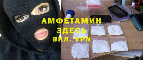 стаф Вязьма