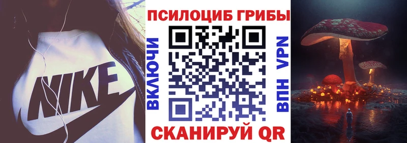 Псилоцибиновые грибы MAGIC MUSHROOMS как найти закладки Заводоуковск